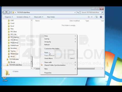 Paste the contents of the clipboard into the TEST4UFolderNew folder on your desktop.