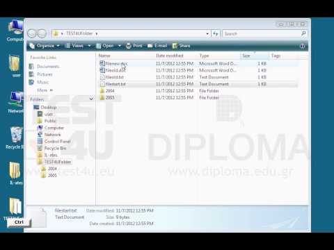 Copy the files fileold.txt and fileold.doc from the TEST4UFolder folder on your desktop, to the 2004 subfolder. 
Then copy the files filestart.txt and filenew.doc from the TEST4UFolder folder on your desktop to the 2005 subfolder.