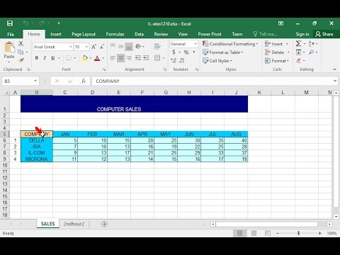 Change the content of the cell B5 of the SALES worksheet from COMPANY to BUSINESS