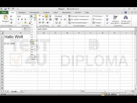 Formatieren Sie das aktive Arbeitsblatt wie folgt:
Zelle A1: Schriftart Arial, 22 Pt.
Zelle A2: Schriftart Times New Roman, 20 Pt.
Zelle A3: Schriftart Arial, 10 Pt.
Zelle A4: Schriftart Times New Roman, 14 Pt. Formatieren Sie das aktive Arbeitsblatt wie folgt:
Zelle A1: Schriftart Arial, 22 Pt.
Zelle A2: Schriftart Times New Roman, 20 Pt.
Zelle A3: Schriftart Arial, 10 Pt.
Zelle A4: Schriftart Times New Roman, 14 Pt.