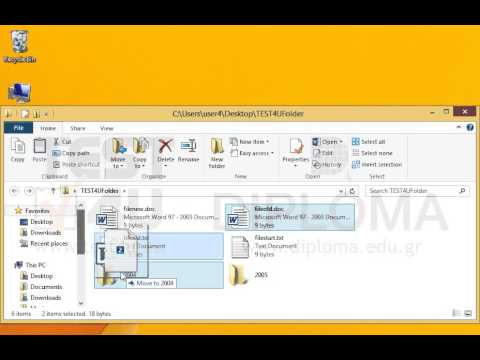 Move the files fileold.txt and fileold.doc from the TEST4UFolder folder of your desktop into the 2004 subfolder. Then move the files filestart.txt and filenew.doc from the TEST4UFolder folder of your desktop to the 2005 subfolder.