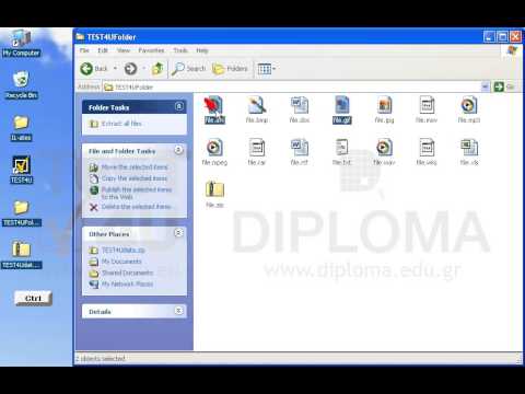 Extract only the files file.gif and file.avi from the TEST4Udata.zip compressed file into the TEST4UFolderNew folder on your desktop. Extract only the files file.gif and file.avi from the TEST4Udata.zip compressed file into the TEST4UFolderNew folder on your desktop.