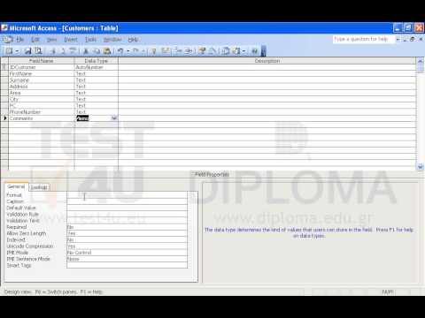 Insert one more field named Comments at the end of the Customers table that will allow entering a text of more than 1000 characters in lower case format. Save and close the table.