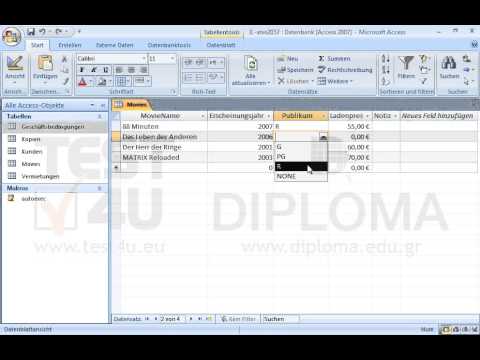 Im Datensatz, dessen Feld MovieName den Wert Das Leben der Anderen hat, geben Sie folgende Werte in die entsprechenden Felder ein:
Feld: PublikumWert: R
Feld: LadenpreisWert: 100 
Speichern Sie den Datensatz. 