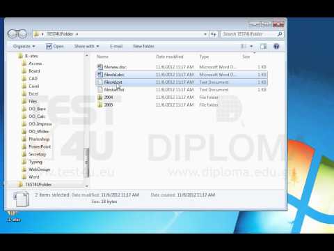 Move the files fileold.txt and fileold.doc from the TEST4UFolder folder on your desktop to the 2004 subfolder. Move the files fileold.txt and fileold.doc from the TEST4UFolder folder on your desktop to the 2004 subfolder.