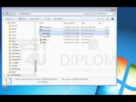 Move the files fileold.txt and fileold.doc from the TEST4UFolder folder on your desktop to the 2004 subfolder.