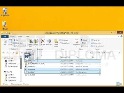 Copy the files fileold.txt and fileold.doc from the TEST4UFolder folder on your desktop, to the 2004 subfolder. 
Then copy the files filestart.txt and filenew.doc from the TEST4UFolder folder on your desktop to the 2005 subfolder.