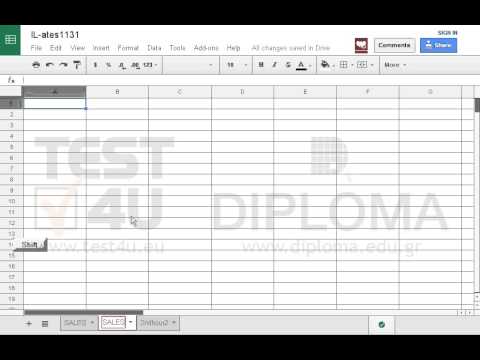 Insert a new worksheet between the SALES worksheet and the 2ndhour2 sheet. Name it SALES 2003