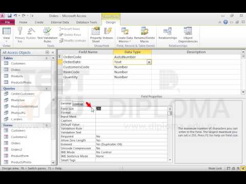 In the Orders table change the type of the OrderDate field to Text which will hold up to 5 characters. Open the table in Datasheet View.