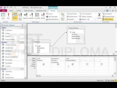 Modify the NoPhoto query to retrieve only the product records that do not contain a photo. Save the query.