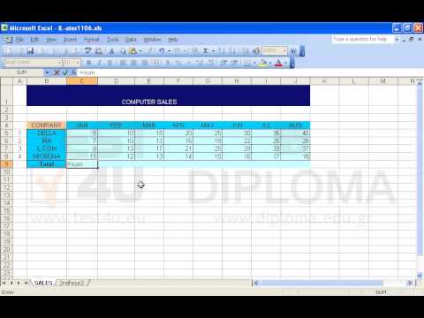 Enter a function in the cell C9 of the SALES worksheet in order to calculate the sum of the cell range C5:C8. Enter a function in the cell C9 of the SALES worksheet in order to calculate the sum of the cell range C5:C8.