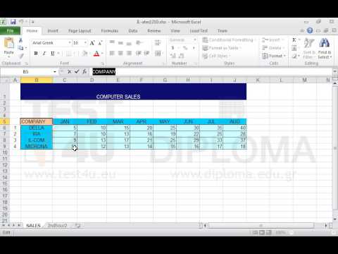 Change the content of the cell B5 of the SALES worksheet from COMPANY to BUSINESS
