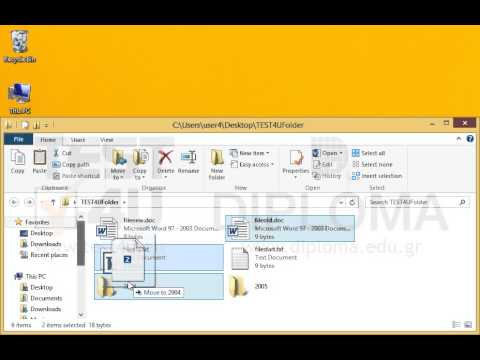 Move the files fileold.txt and fileold.doc from the TEST4UFolder folder on your desktop to the 2004 subfolder.