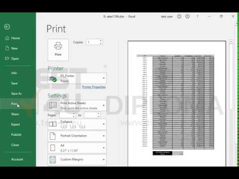 Print the entire active worksheet to the default printer.