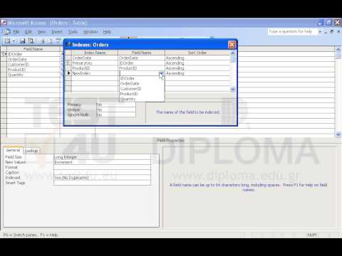 Insert a new index named NewIndex that will allow entering duplicates in the CustomerID field of the Orders table. Save and close the table.