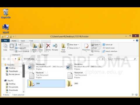 Copy the files fileold.txt and fileold.doc from the TEST4UFolder folder of your desktop and paste them to the 2004 subfolder.