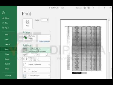 Print the active worksheet in two copies.