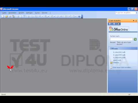 Starten Sie Microsoft Access. 