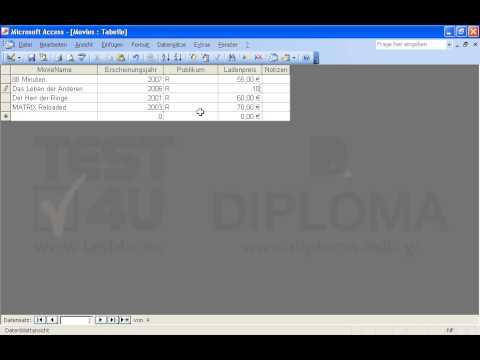 Im Datensatz, dessen Feld MovieName den Wert Das Leben der Anderen hat, geben Sie folgende Werte in die entsprechenden Felder ein:
Feld: PublikumWert: R
Feld: LadenpreisWert: 100 
Speichern Sie den Datensatz. 