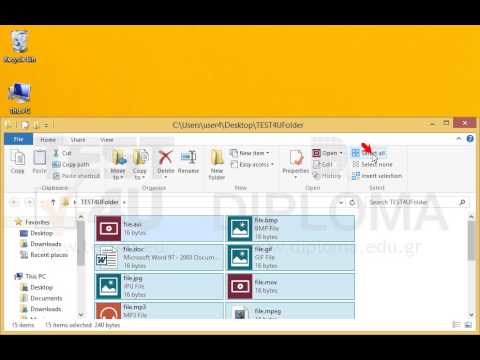 Copy all files from the TEST4UFolder folder of your desktop to the clipboard.