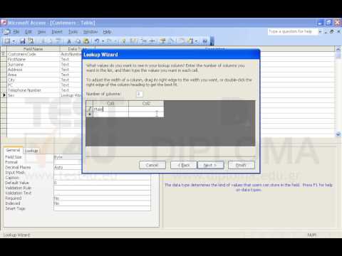 In the Customers table insert a new field named Sex, in Number data type and byte field size. The user should be able to choose either Male or Female (where Male=1, Female=2). Numbers will not be displayed. Save and close the table.
