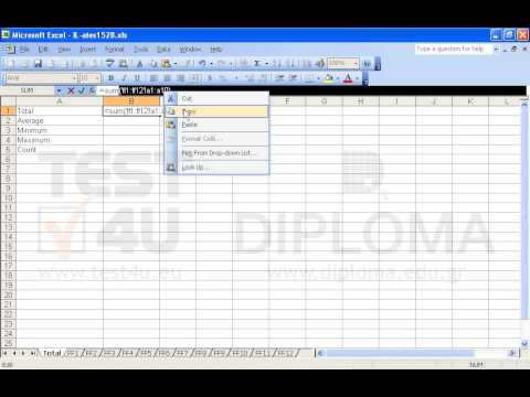 In the cell B1 of the Total worksheet insert the appropriate function to sum up the cells within the cell range A1:A10 from the FF1 worksheet through to the FF12 worksheet.
Insert in the cell B2 a function that returns the average of the respective cell range, in cell B3 for the minimum, in cell B4 for the maximum and in cell B5 for the total of cells displaying numbers, following the same pattern.