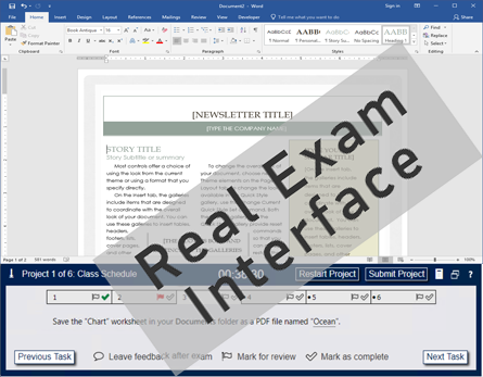 compare test4u mo exam inteface word expert 1