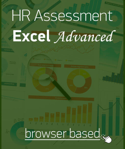 Hard skills assessment for Microsoft Excel skills at advanced level