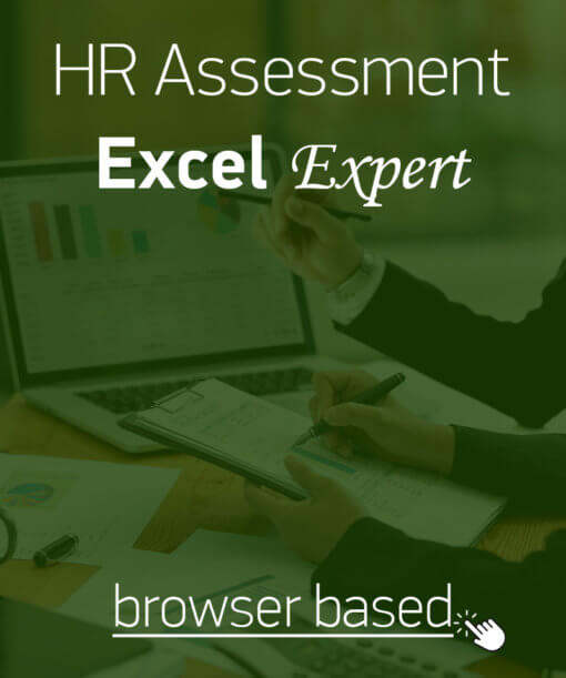 Hard skills assessment for Microsoft Excel skills at expert level